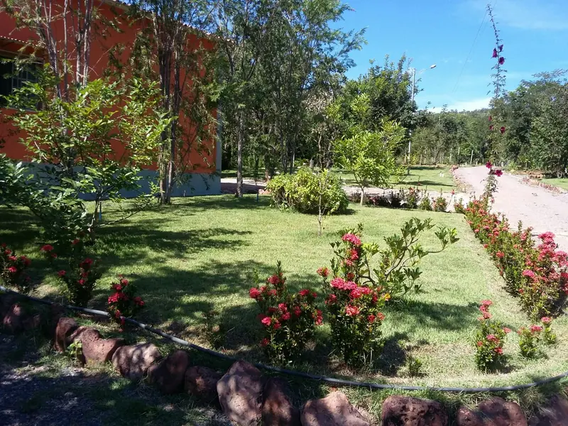 Jardim