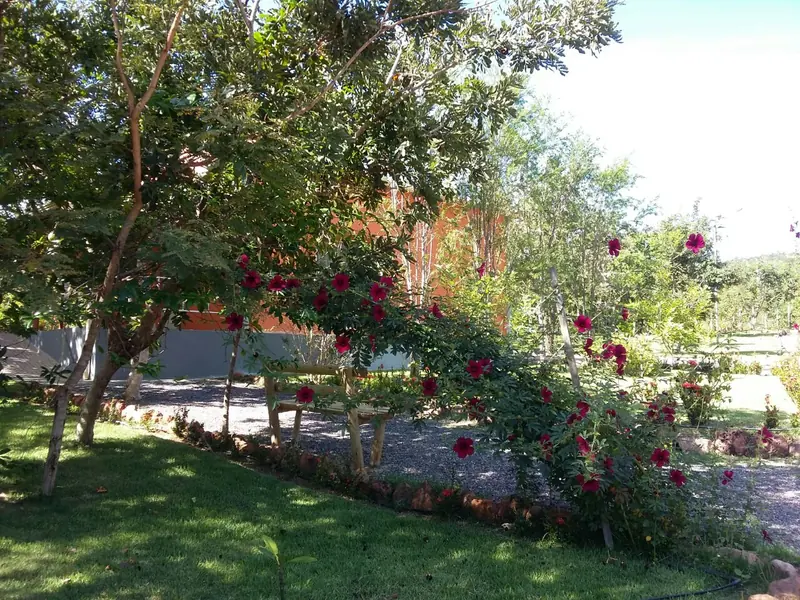 Banco no jardim